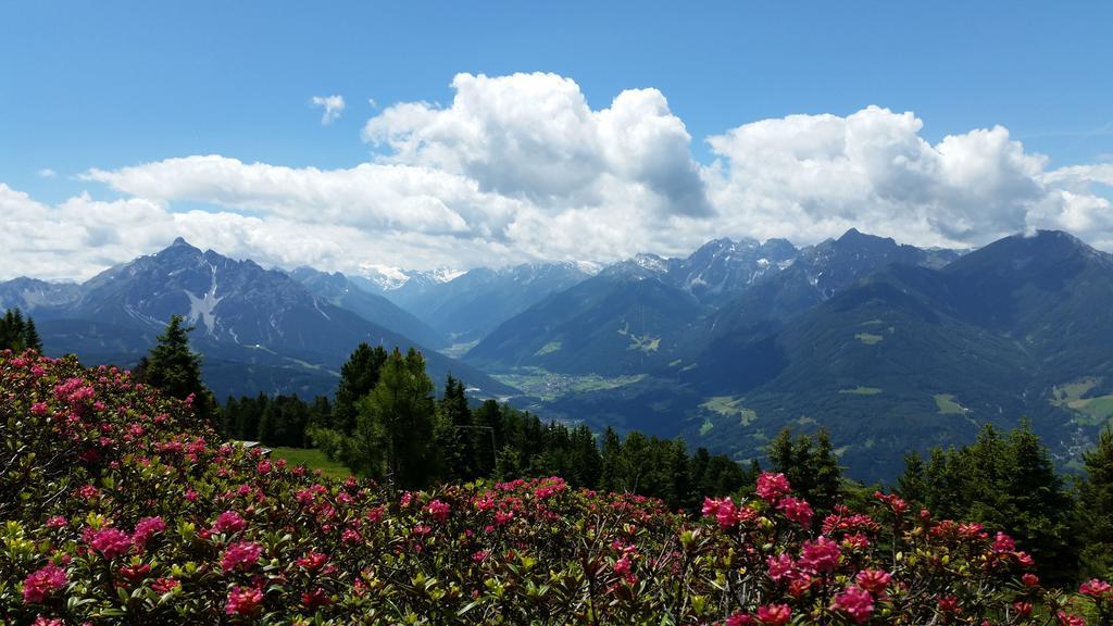 Tiroler Alpenhof Apartment