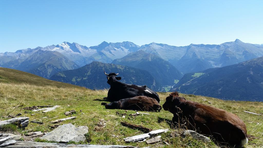 Tiroler Alpenhof Innsbruck